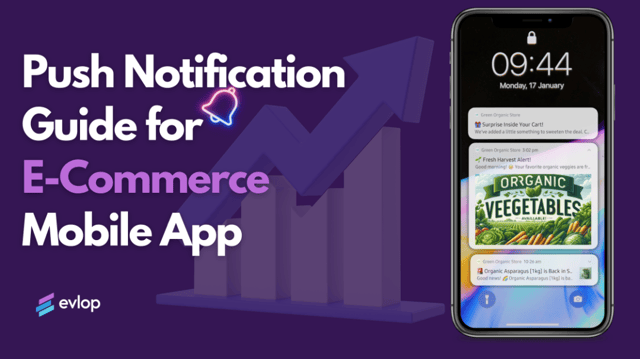 eCommerce Push Notifications Guide to Increase Conversions, Retention & Revenue
